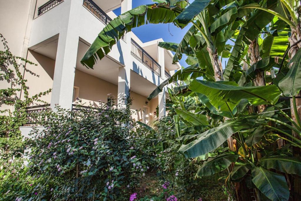 Bali Dorian Apartments エクステリア 写真